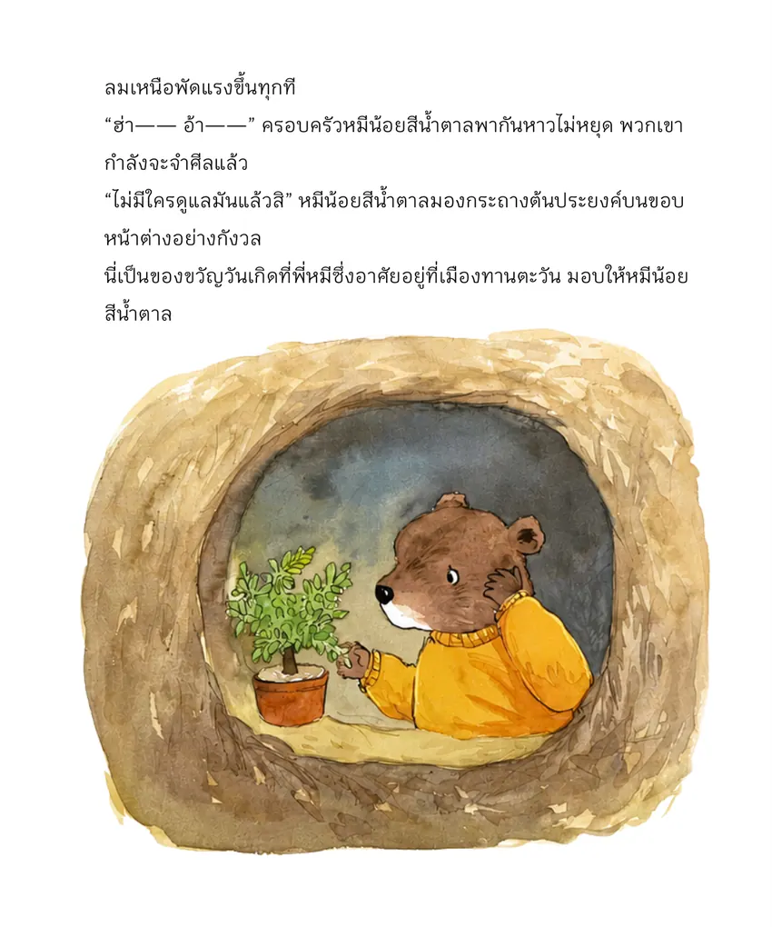 หน้าด้านใน